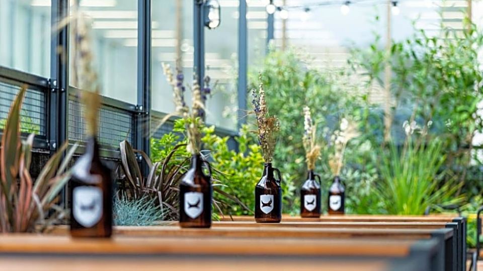 BrewDog DogHouse Manchester