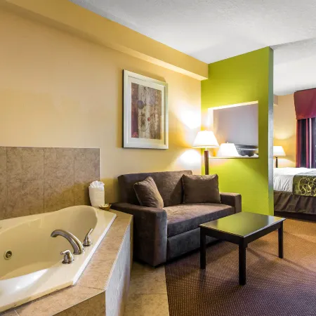 Comfort Suites Forsyth near I-75