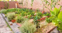 El Mirador Hotel & Spa Hotels near Colonia del Sacramento Lighthouse