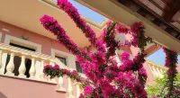 Makris Apartments Hotels in Acharávi