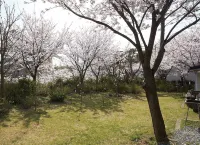 White Pension