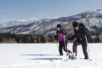 Nabekura Kougen Mori-No-Ie Hotels in Iiyama