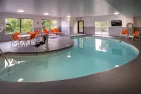 Hampton Inn Charleston-Downtown (Civic Center) Hotel a Charleston