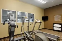 Microtel Inn & Suites by Wyndham Dickinson - Gym