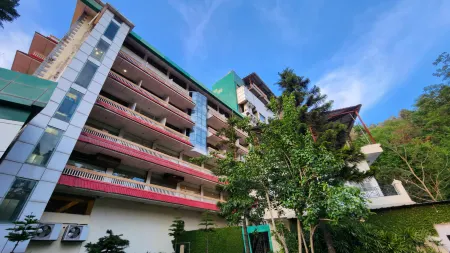 Hotel Royal Ark - Kasauli Отели рядом с Аэропорт Шимла