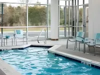 SpringHill Suites Ashburn Dulles North - Pools