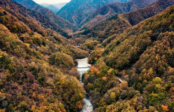 望月庵禪房旅館