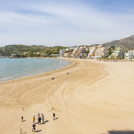 Grimaca Playa de la Concha