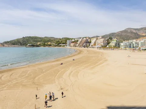 Grimaca Playa de la Concha