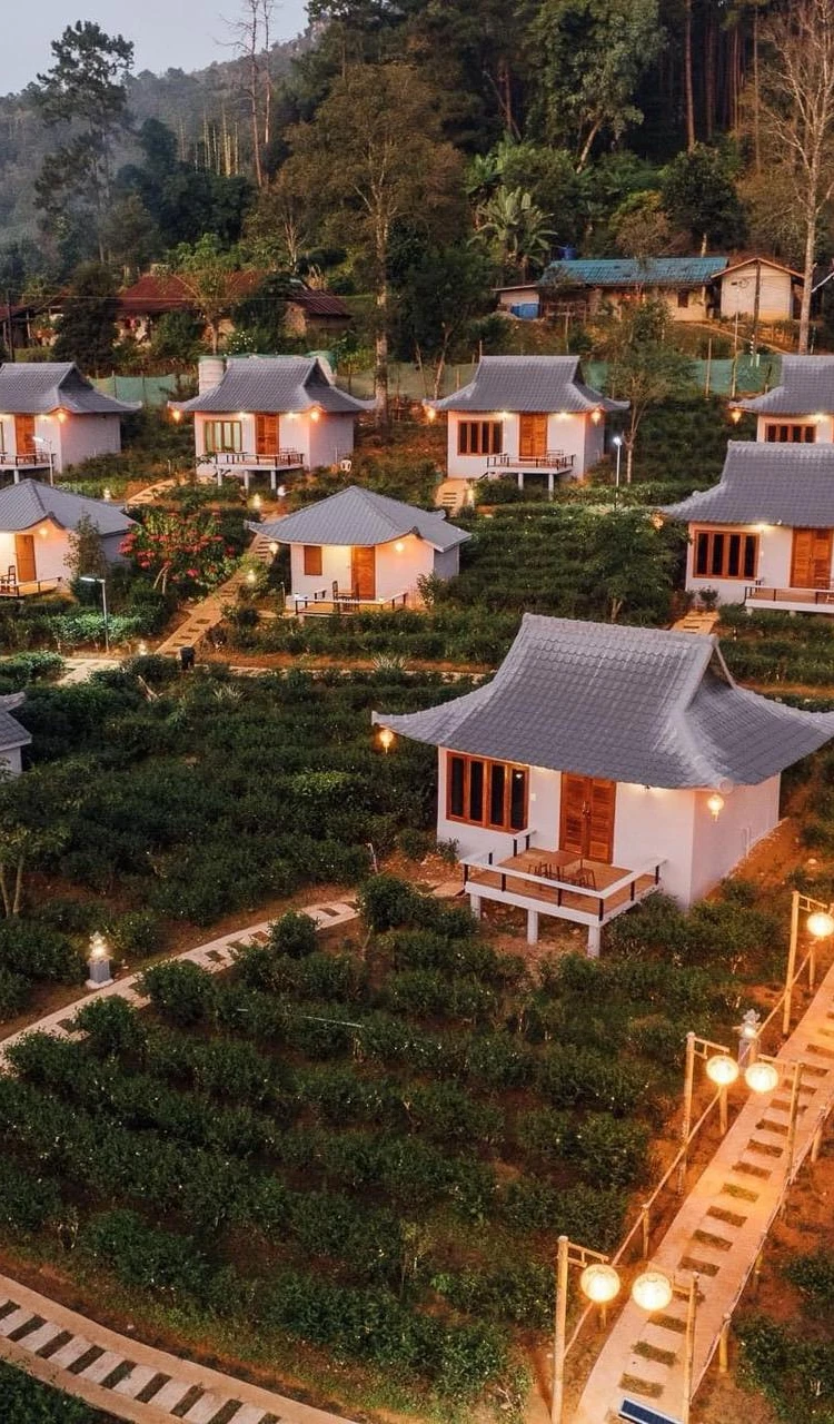รูปภาพของChenfong Rakthai Resort-ไร่ชาเฉินฟงรีสอร์ท