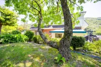 고성 소똥령이야기펜션 금수모텔옥사우나 주변 호텔