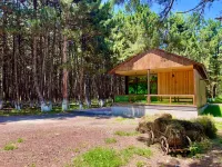 Milenium Villa