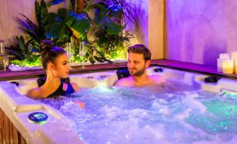 Ibis Timisoara City Center