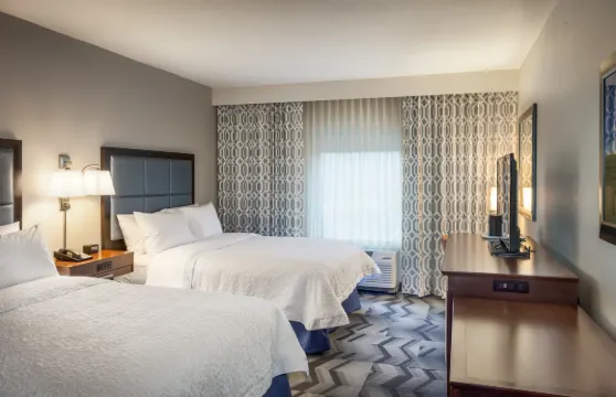 希爾頓歡朋酒店-劉易斯頓