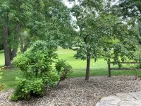 John & Anne`s Place LLC