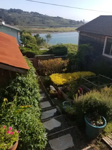 SueSea's by the Sea Shore