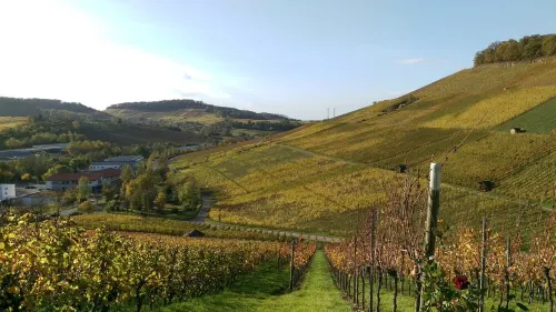 Bright apartment balcony, 2 bedrooms - new bathroom 2023 Hotels in Weinsberg