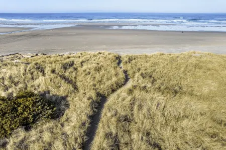 Relax and unwind in a tranquil space one block from the beach