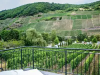 Ruhig Gelegenes Ferienhaus mit Sauna Direkt an der Mosel 特里滕海姆住宿飯店