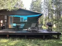 Cabin in the Woods.