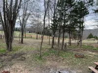2 bedroom 1 bath cabin with privacy, 1 mile from main highway