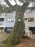 Royal James Upper Unit, Sleeps 6 with Loft + 2 Golf Carts & Pool,Close to Beach