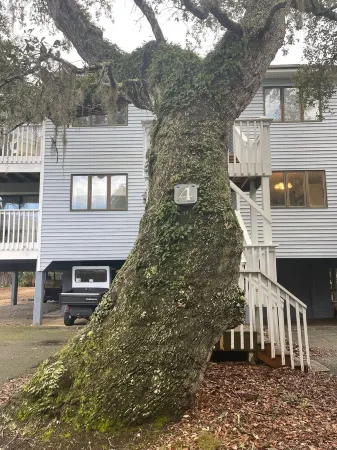 Open Thanksgiving + Christmas! Weekly+ Monthly Discounts in Off Season.  2 Carts