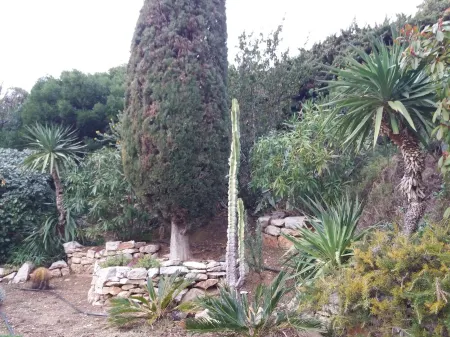 Le BOUGAINVILLIER apartment Cassis Отели рядом с достопримечательностью «Route des Crêtes»