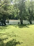 Riverfront Cabin Oasis/PSU football/Elk viewing