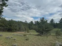 Cozy private retreat in the Wet Mountains with 5 acres to roam on. Pet Friendly!