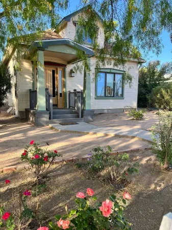 Bird Lover's Paradise