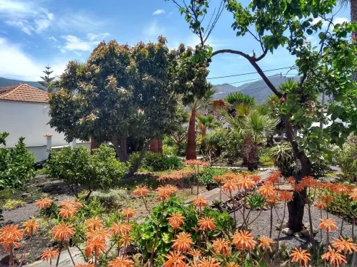 pretty apartment with sun terrace in the subtropical garden with WiFi and pool