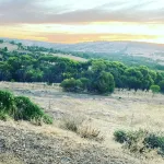 Hideaway Country Cottage Hotel a Toodyay