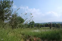 Manoir des Lords in the Pays d'Auge