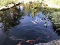 AN EXCEPTIONAL SETTING "Le Jardin Bosselé"