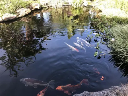 AN EXCEPTIONAL SETTING "Le Jardin Bosselé"