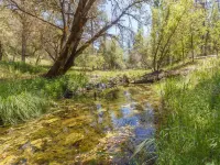 Yosemite vacation rental 30 minutes from Yosemite Valley's main gate.