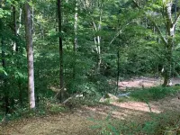 Critter Cottage at Coops Creek Cabins