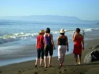 Rare Ocean-Front Near San Francisco. Sunsets, Whale Watching in Seaside Luxury