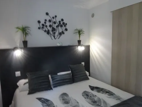 Luxurious apartment 200 m from the beach, air conditioning terrace, wifi, 5/6 pers