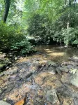 Cozy Creek Cabin Near Highlands, NC:  Relax or Adventure - You Choose!