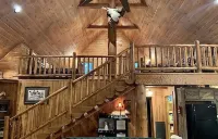 Peaceful, Secluded Cabin near Beaver Lake