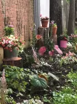 "Little Brick House on Main (1865