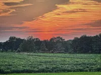 Cozy One Room Studio in Wine Country!