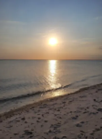 Dream vacation in our 4-Bedroom newly-renovated house 2.5 miles from the  ocean. 이스트 팰머스 호텔