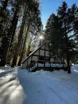 Secluded Cabin at Shaver Lake – Quiet, Private & Pet-Friendly