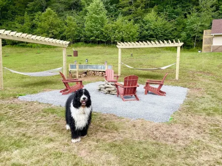 Charming A-frame retreat in a beautiful, natural, and private setting