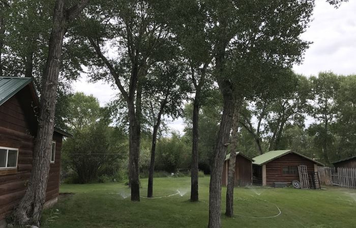 Newly Remodeled Historic Log Cabin on Banks of Horse Creek