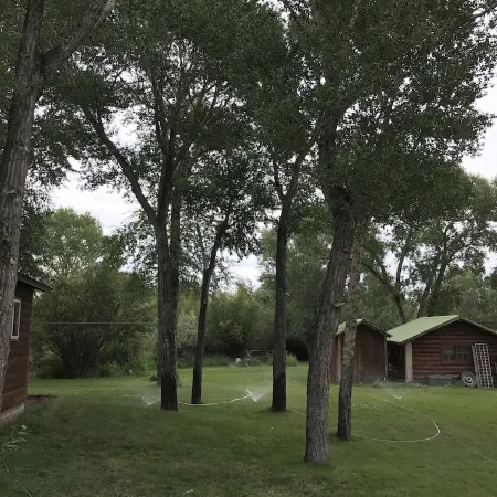 Newly Remodeled Historic Log Cabin on Banks of Horse Creek