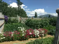 Stage Road Estate. Peaceful executive home close to Glacier National Park. Hotels near Montana Vortex and House of Mystery